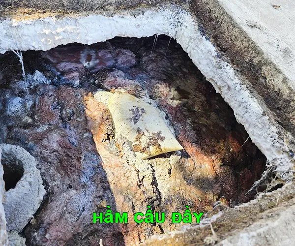 Hầm cầu đầy do tích tụ chất thải lâu ngày